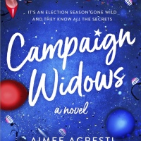 Book Review: Campaign Widows by Aimee Agresti [& 4 Things I Learned]