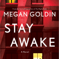 Book Review: Stay Awake by Megan Goldin